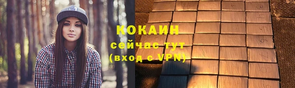 индика Корсаков