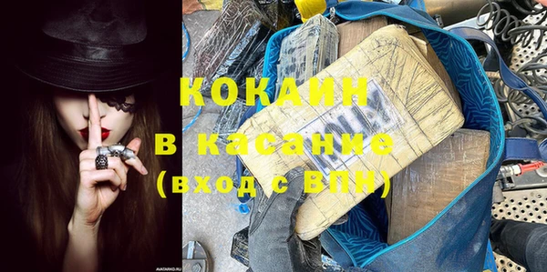 индика Корсаков