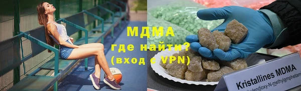 индика Корсаков