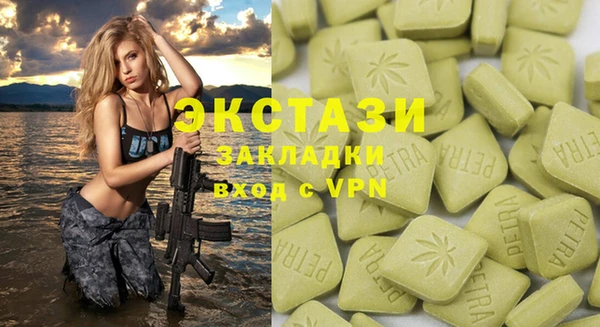 индика Корсаков