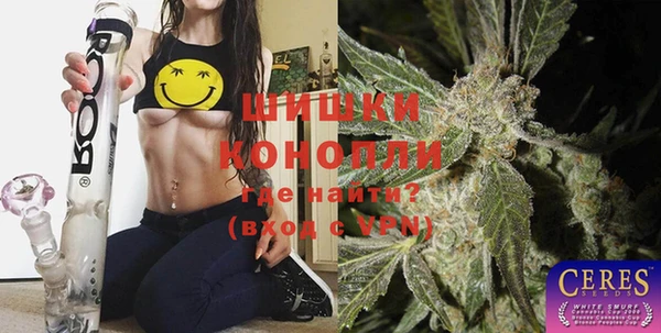 индика Корсаков