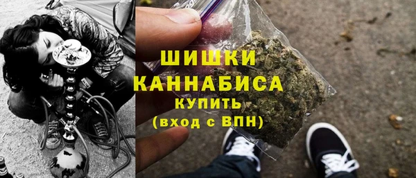 индика Корсаков